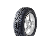 Band MAXXIS WP05