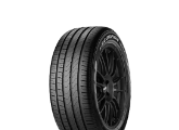 Band PIRELLI SCORPION VERDE