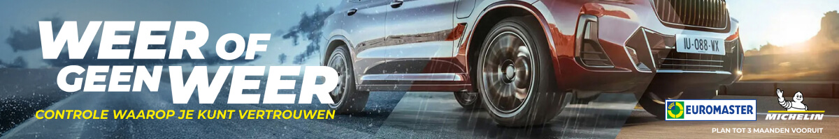 Michelin co branding